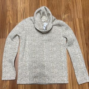 Jcrew turtleneck sweater